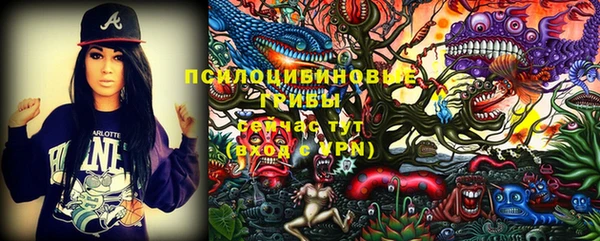 PSILOCYBIN Беломорск