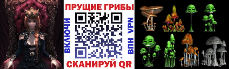 мега tor  Балахна  Псилоцибиновые грибы Psilocybine cubensis 